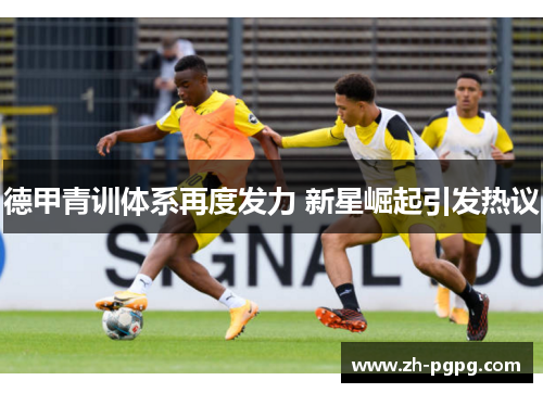 德甲青训体系再度发力 新星崛起引发热议